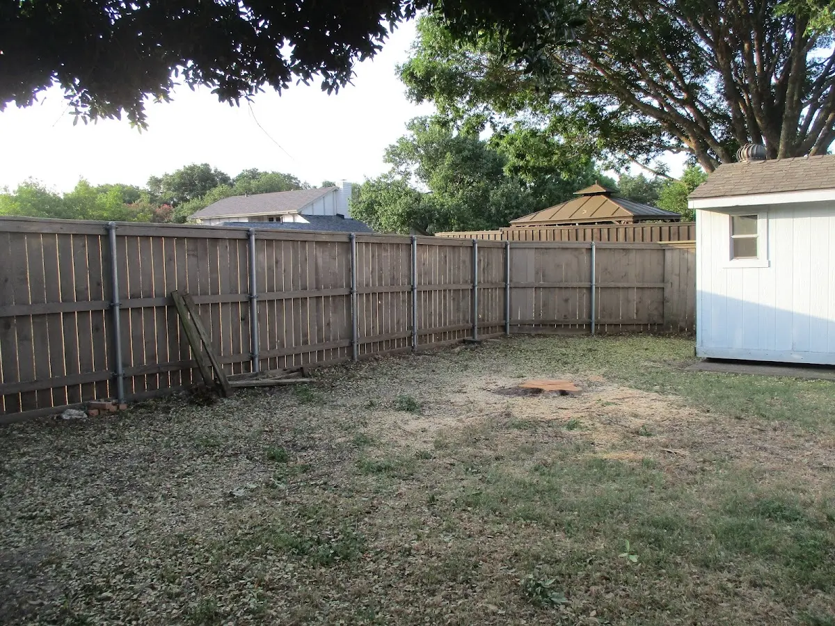 Cleared yard after professional tree removal in Alton